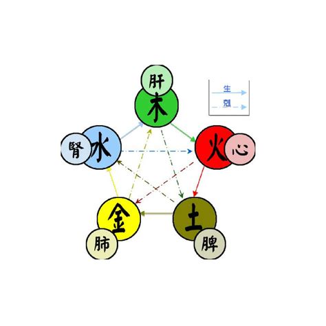 水生金 五行|五行（对万事万物的取象比类）